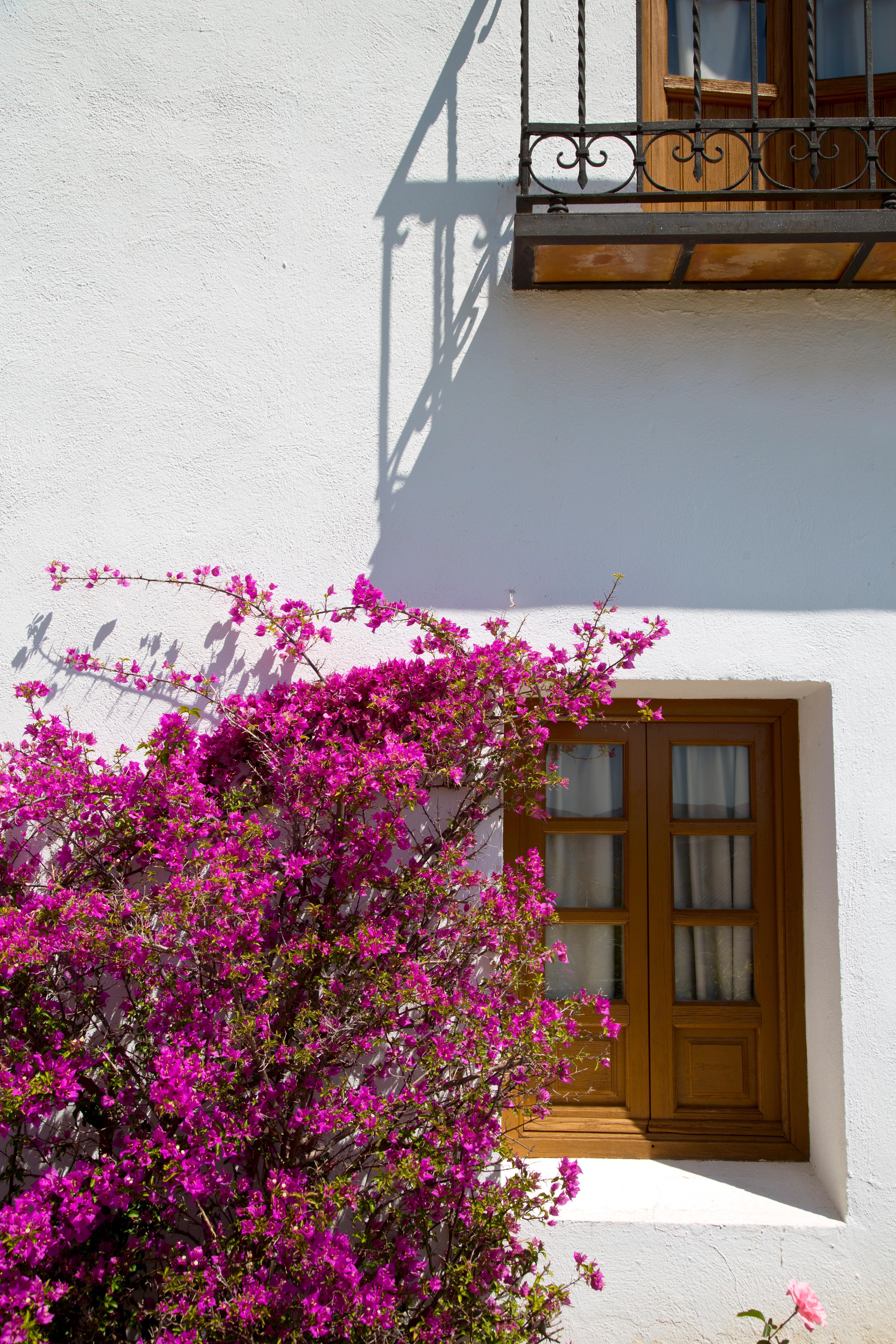 Villa Turística de Priego Priego de Córdoba Exterior foto